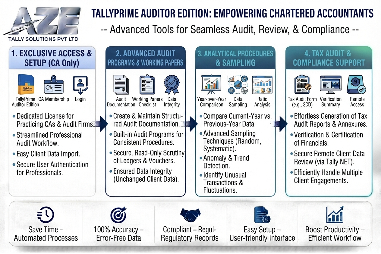 Tally Software Services - Auditor